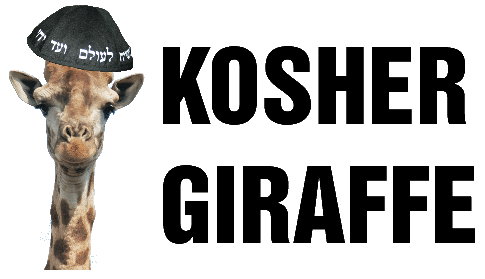 KOSHER GIRAFFE
